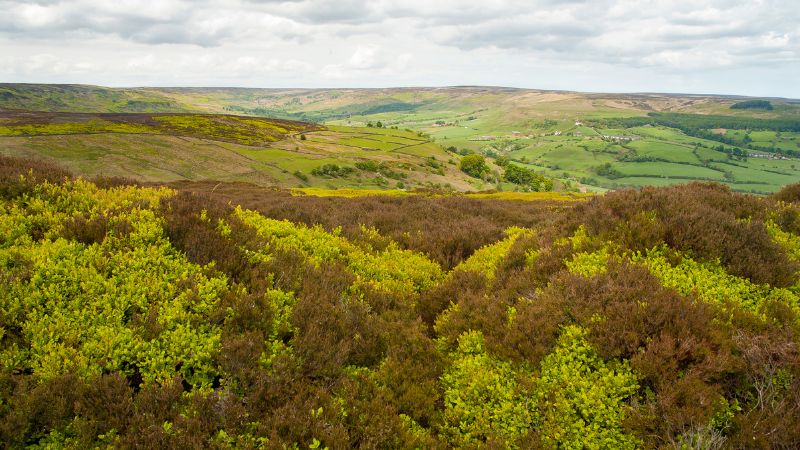 North York Moors National Park