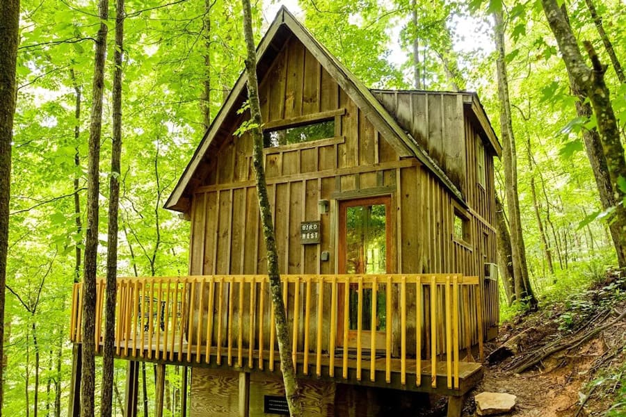 Bird Nest KY Cabin Rental Red River Gorge