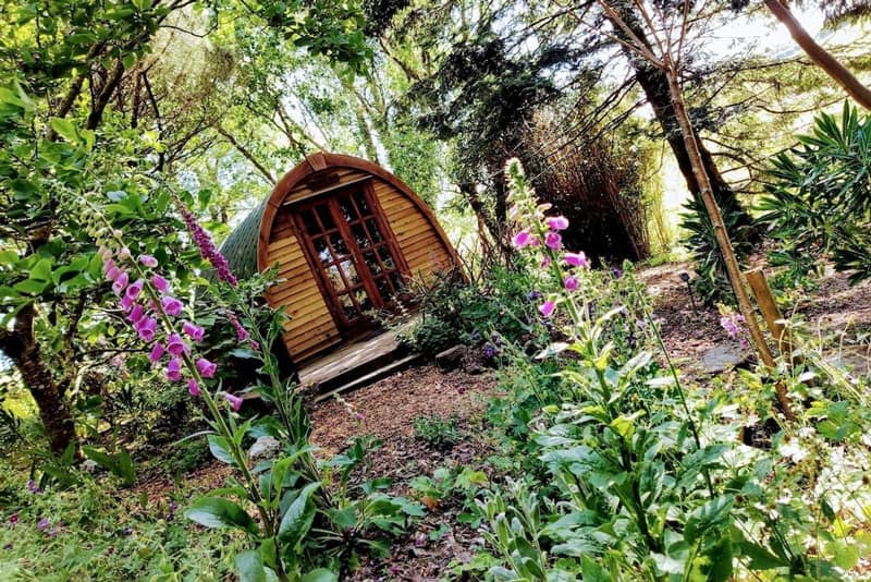 Devon Glamping at The Greenhouse Spa Retreat