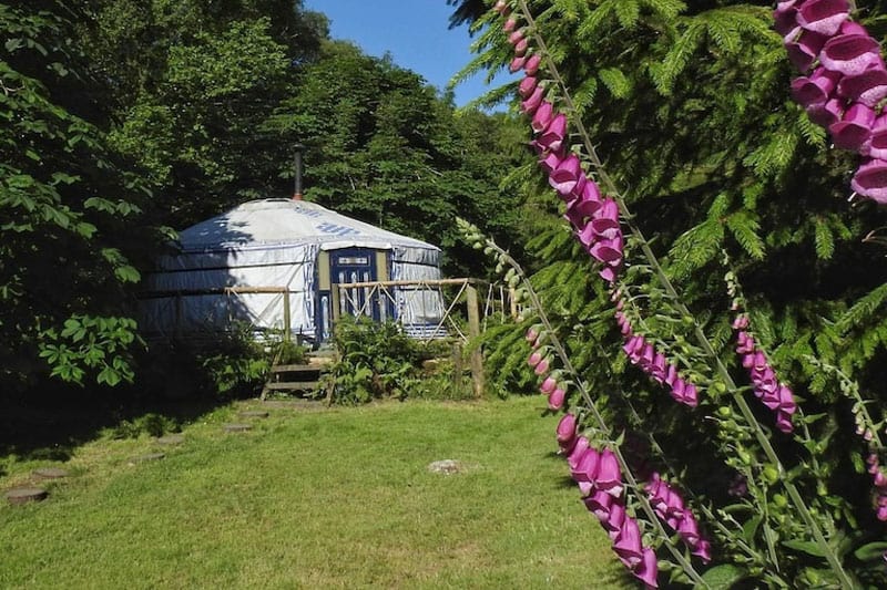 Mongolian Yurt in Dartmoor