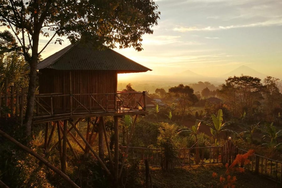 Pelangi Treehouses in Bali
