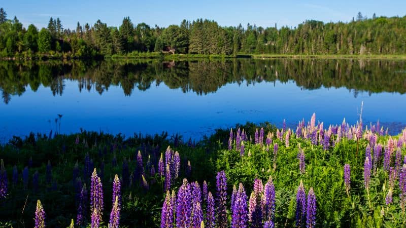 Mont Tremblant National Park near Bel Air Tremblant Dome Rentals Resort