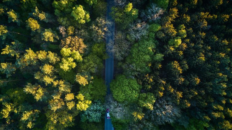 Choosing a Glamping Property