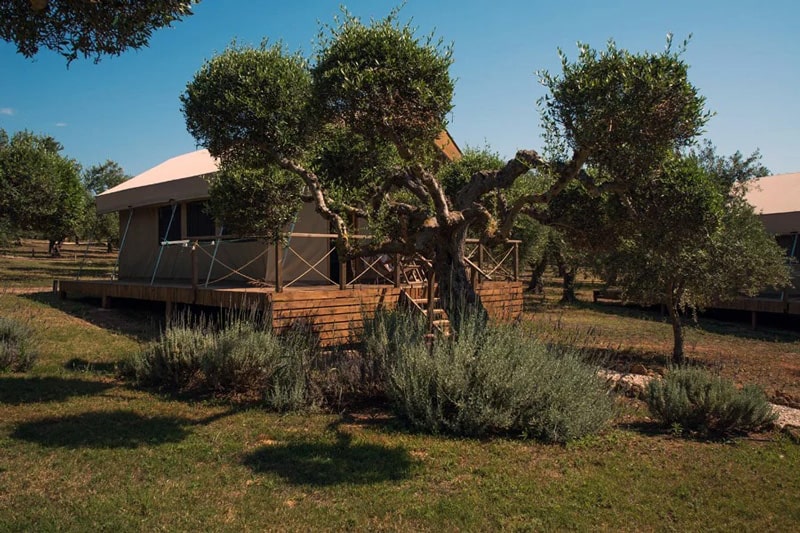 Agrikies Glamping in Greece