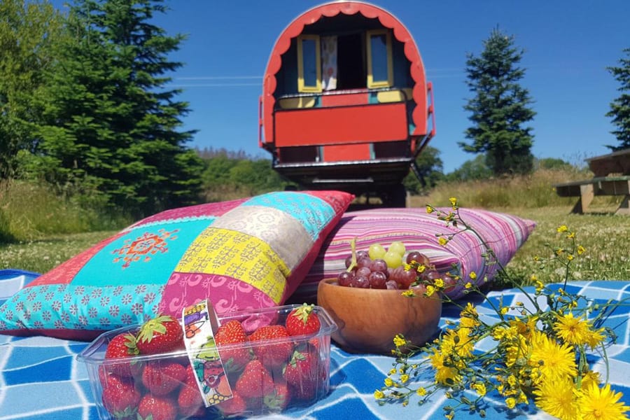 Clissmann Horse Caravans Glamping Wicklow
