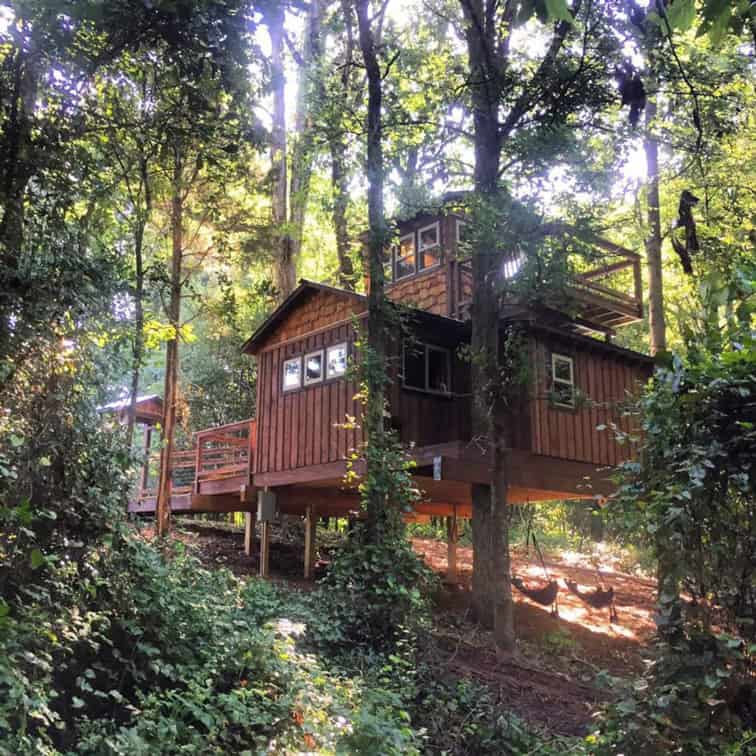 Sweet Ashley Treehouse NC