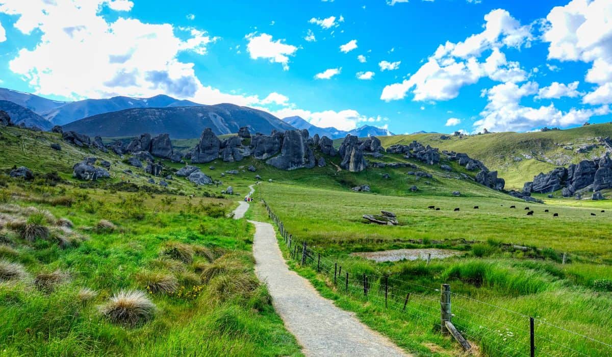 Glamping in New Zealand: The Wonders of Luxury Camping