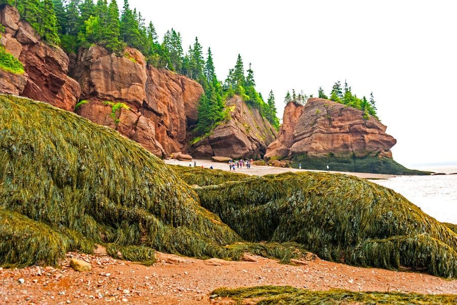 The Bay of Fundy