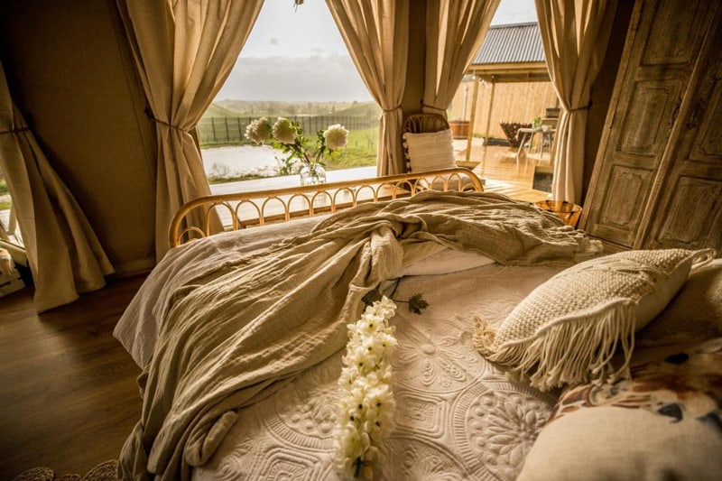 Orchard Valley Glamping in New Zealand
