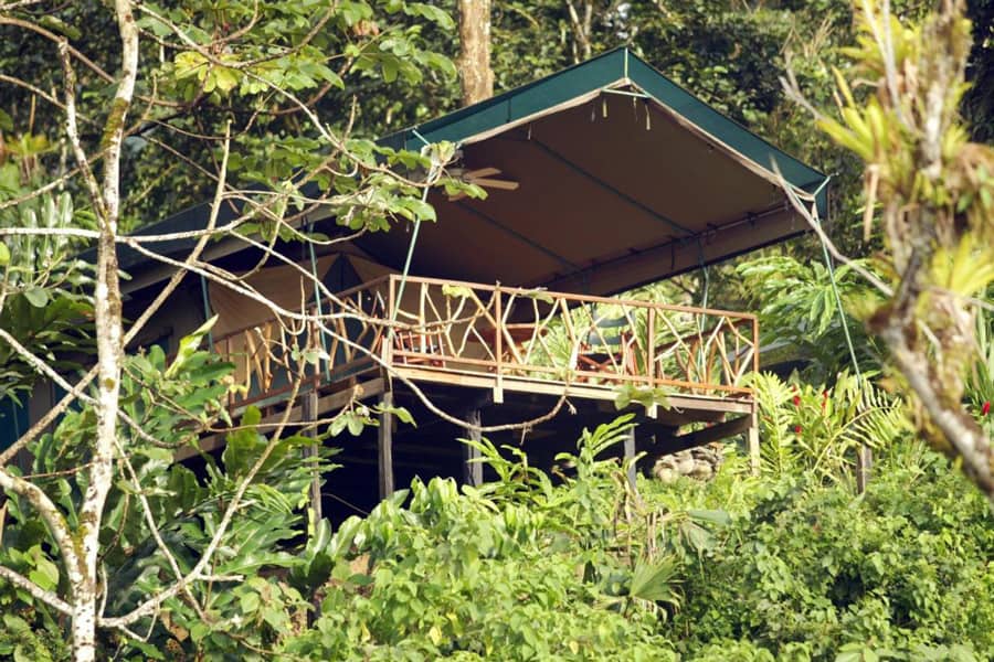Rafiki Safari Lodge - Savegre Valley