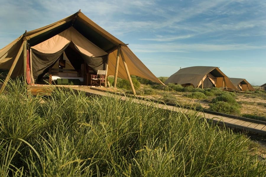 Sal Salis Safari Tent Glamping- Ningaloo Reef