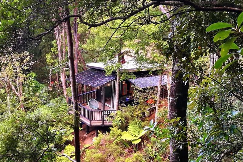 Glamping Bay of Plenty at Tānekaha Treehut
