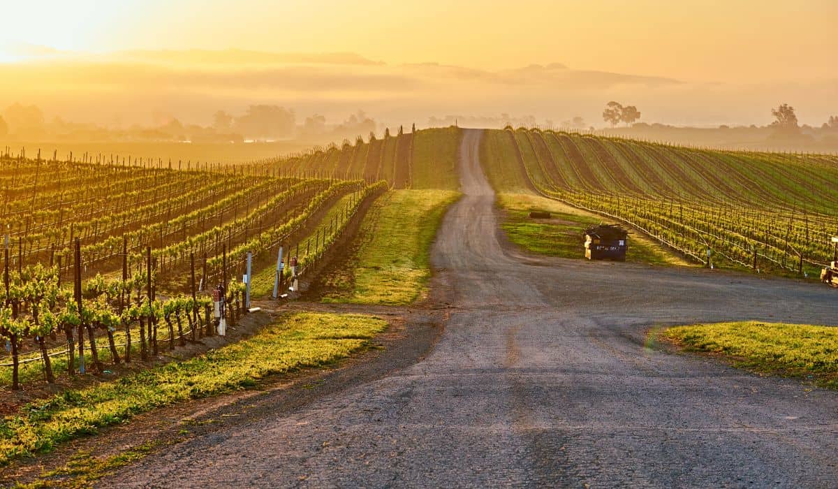 Sonoma Glamping in California