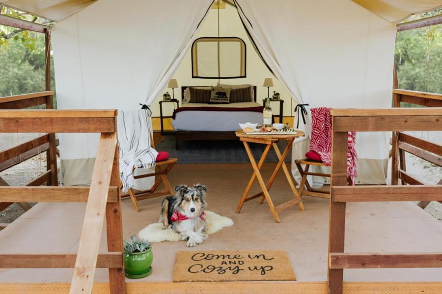 Wildhaven Sonoma Glamping Retreat