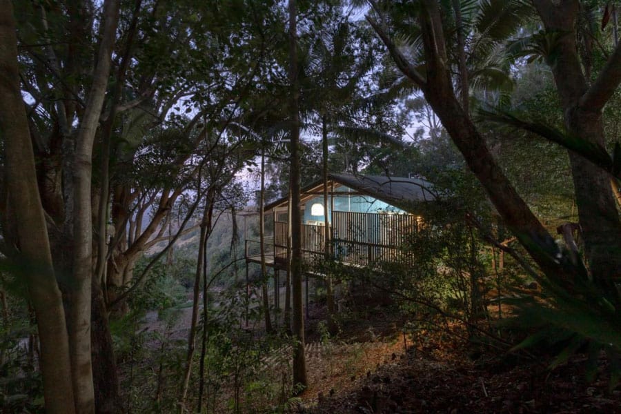 Treetops Seaview Treehouses Sunshine Coast Glamping