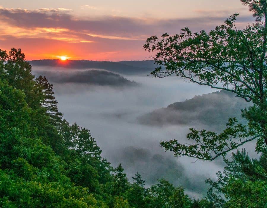 Buffalo River Arkansas