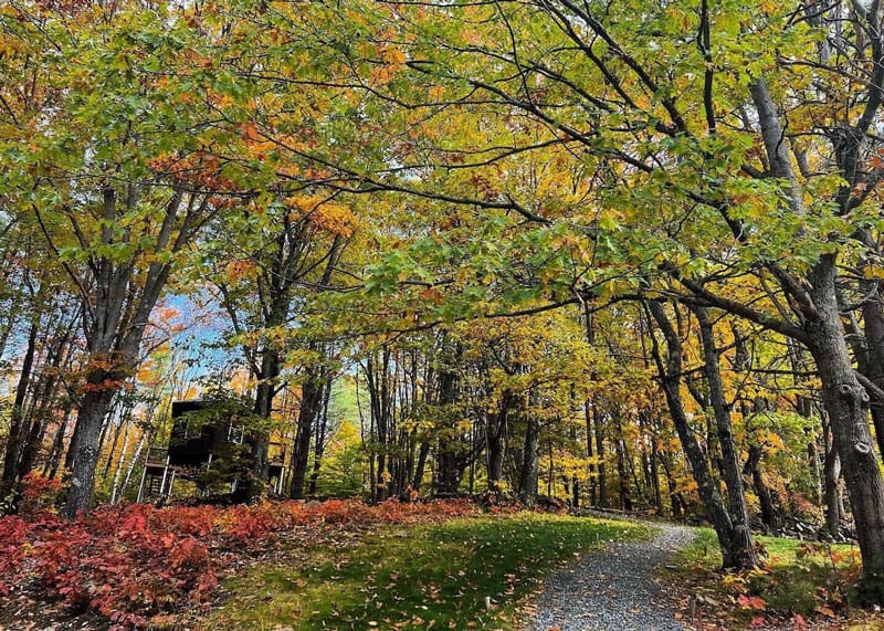 Woodstock Treehouse Cabin Rentals in Vermont