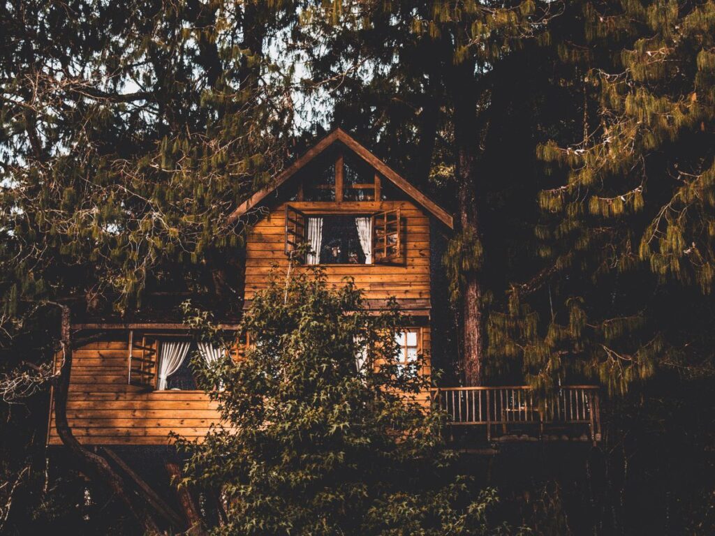 treehouse stays in washington