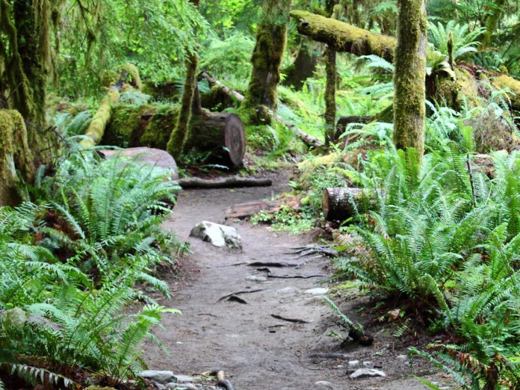 Remote unique places to stay in Washington State