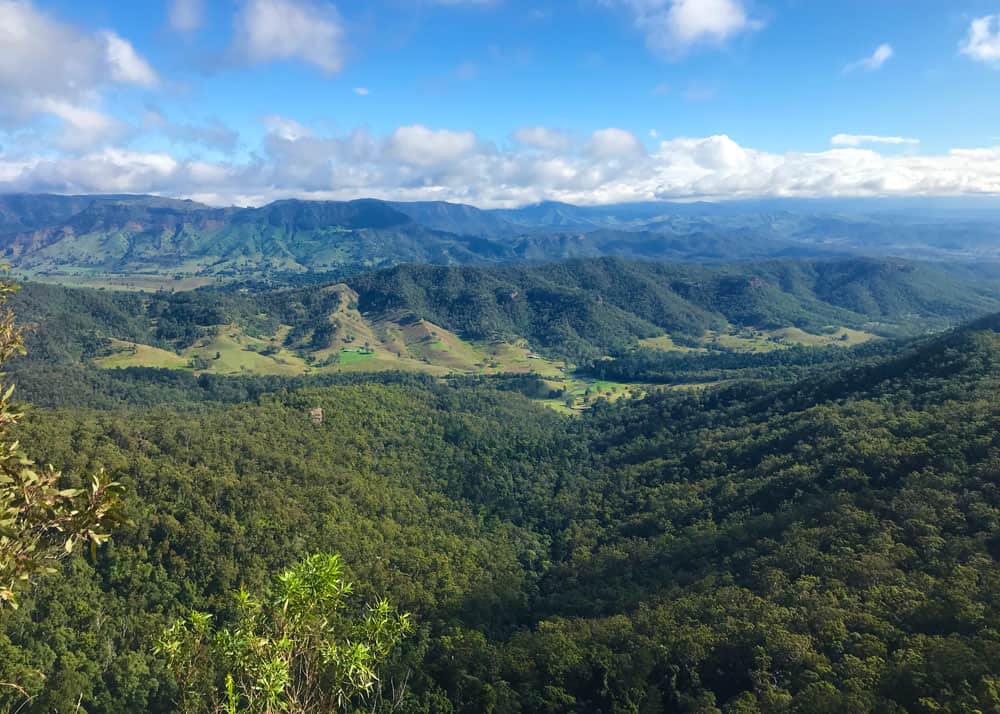 Lamington National Park in Queensland’s Scenic Rim