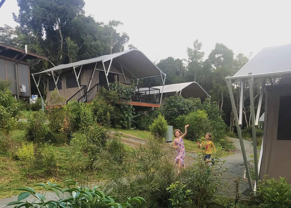 Glamping Tents at O’Reilly’s Rainforest Retreat QLD 