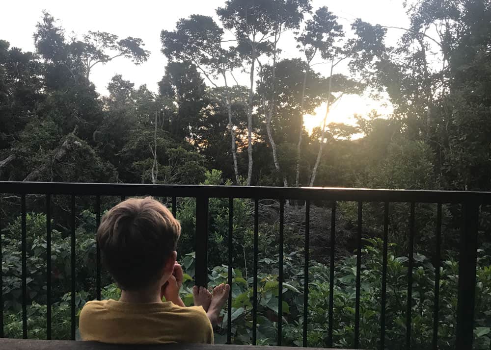 The Atmosphere at O’Reilly’s Rainforest Retreat QLD