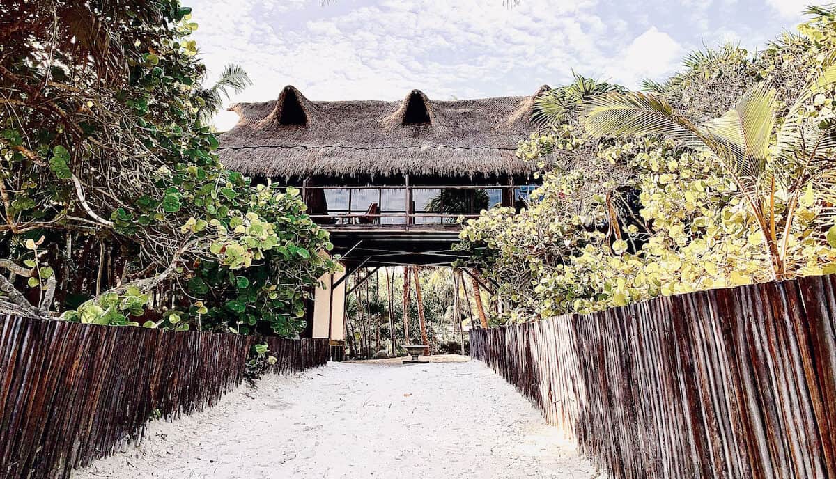 liltulum 1 e1705442671174