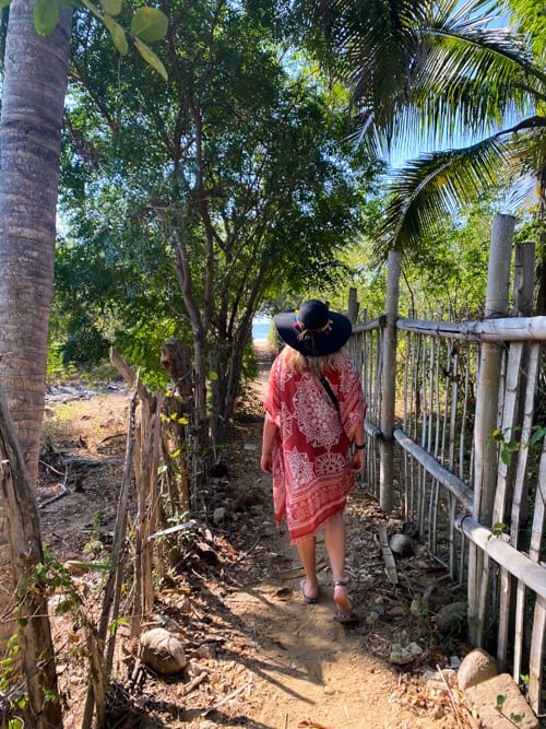 Path to the beach