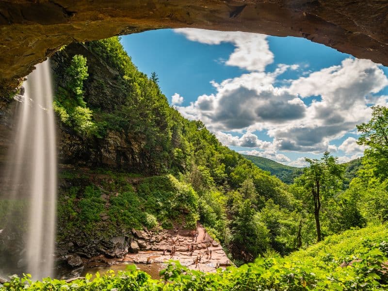 Kaaterskill Wild Forest