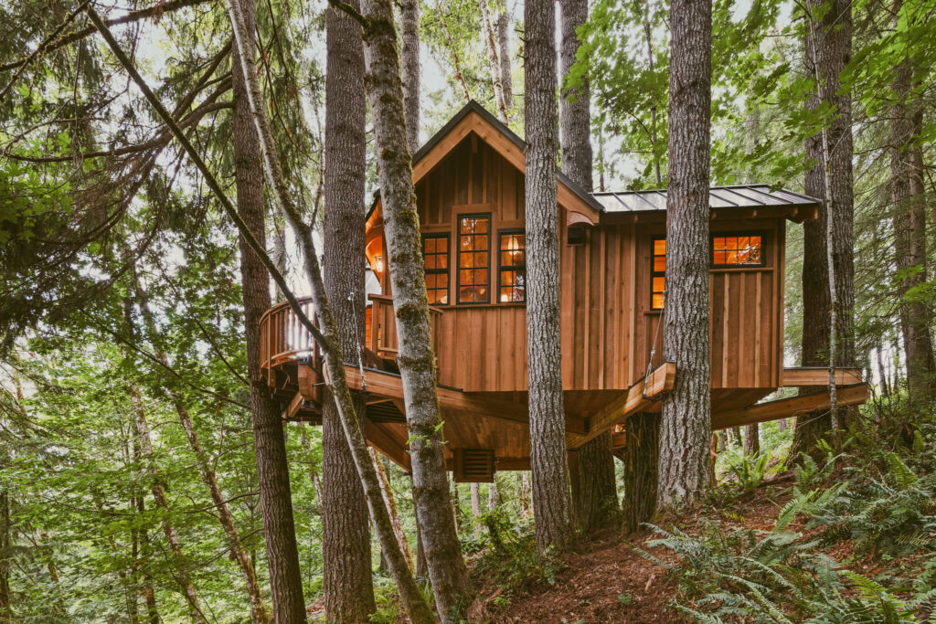 The Treehouse Mt. Rainier