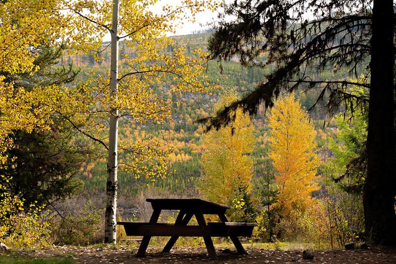 Glamping Chute Lake Lodge Campsites
