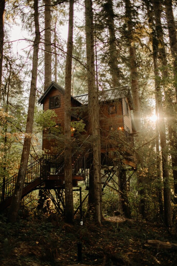Iron & Vine Treehouse at Mt. Rainier