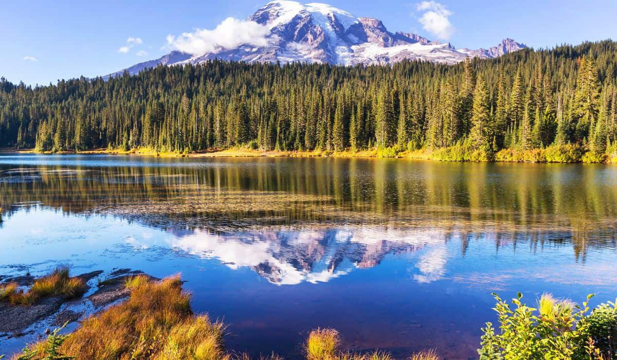 mt rainier cabins Yurts and Treehouses