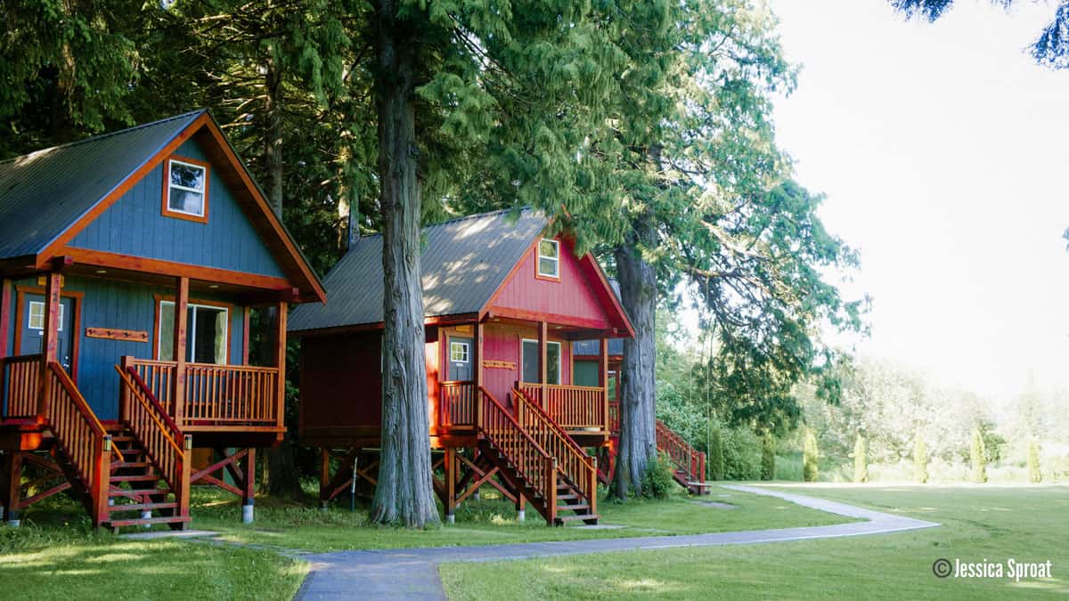 Treetop Glamping: Hidden Acres Treehouse Resort in BC