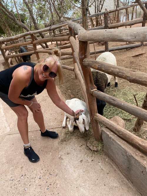 Friendly, happy animals