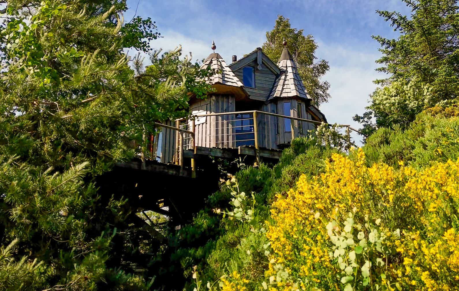Ash Tree Howf - Unique Treehouses in Scotland