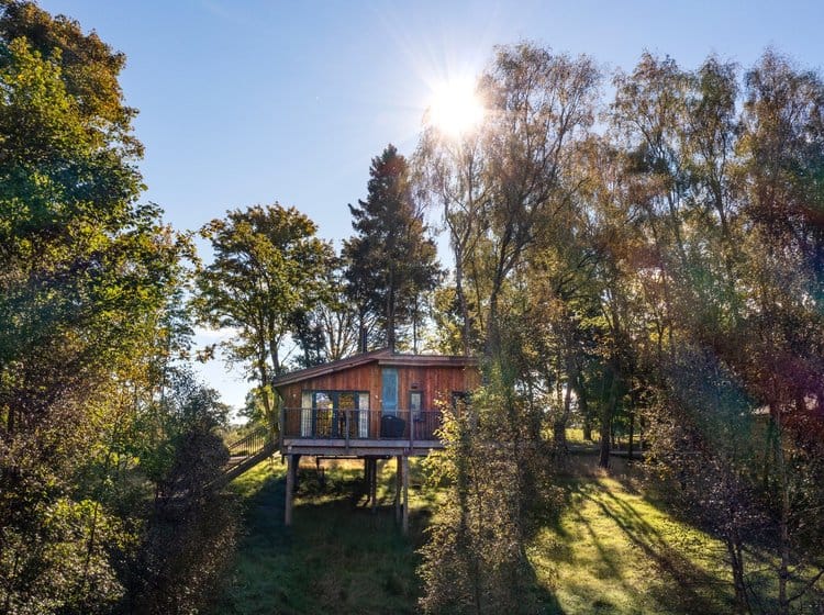 The Treehouses at Lanric
