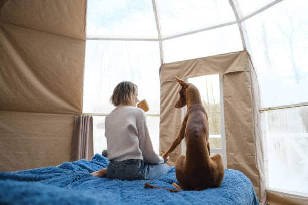 Pet-friendly glamping FAQs