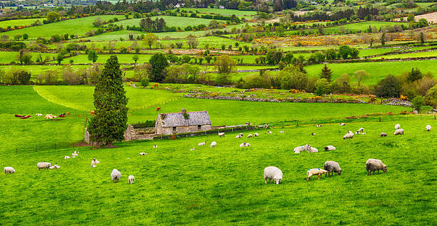 Glamping in Donegal, Ireland