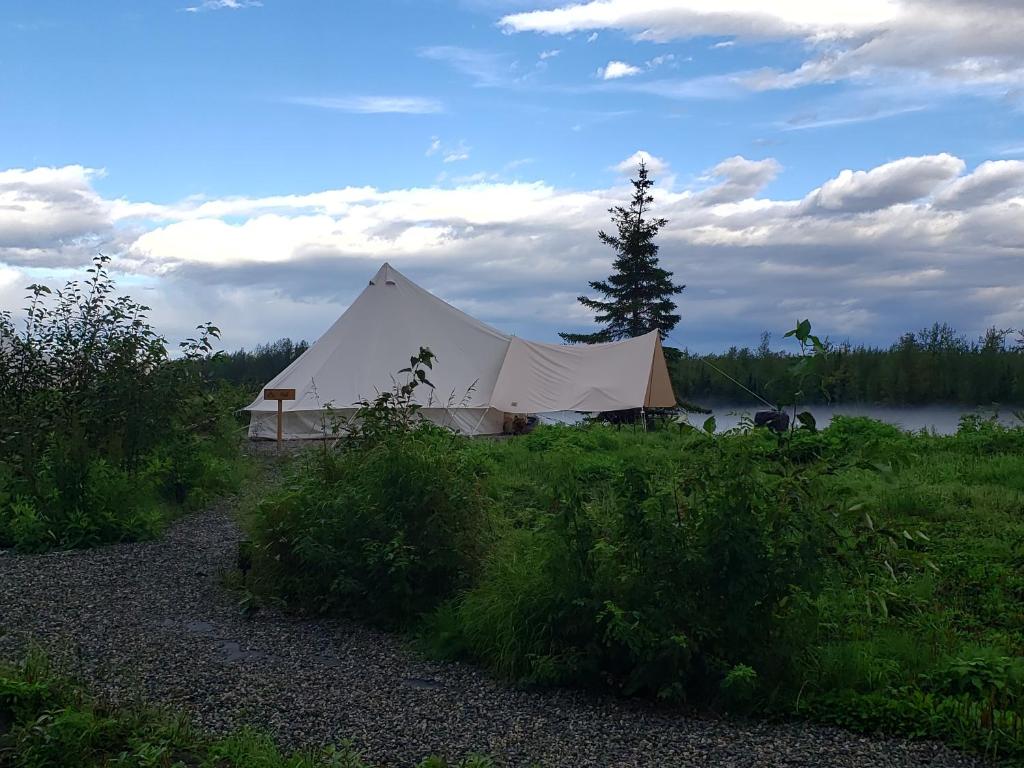 Glamping Tent on the Knik River Glamping Tent on the Knik River
