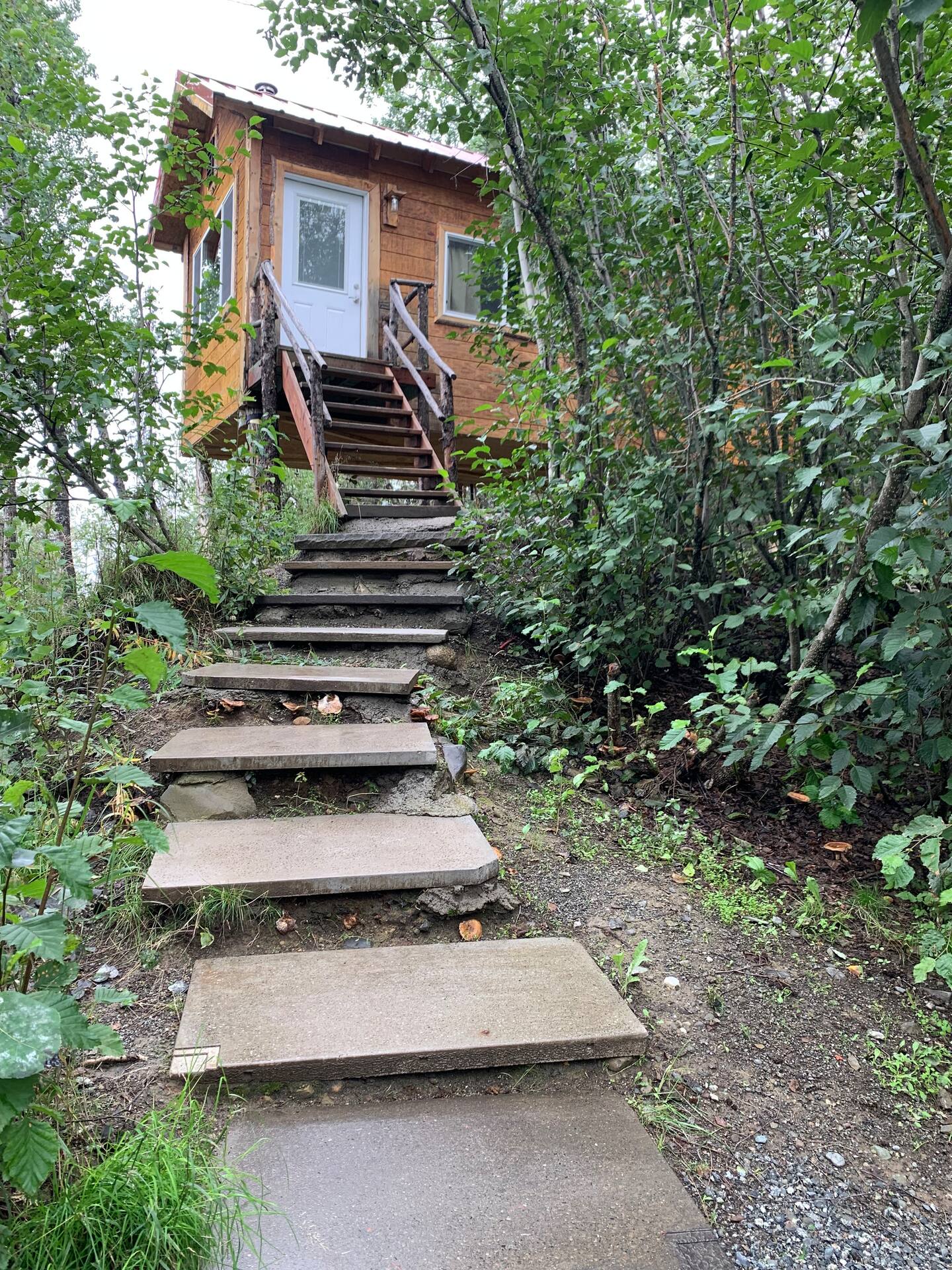 Spacious Treehouse Studio – Big Lake Spacious Treehouse Studio – Big Lake