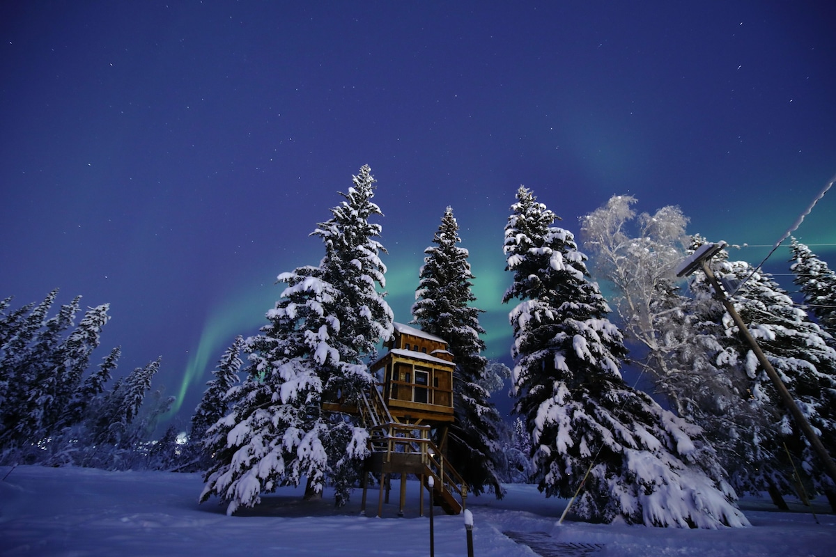 Treehouse by Treehouse Masters Alaska Glamping: Immersive Lodging Where Wilderness Meets Comfort