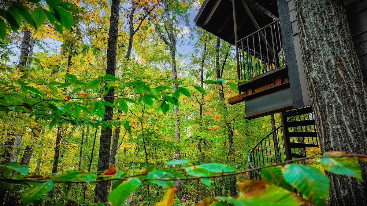 Magical Treehouse in Woods – Waterford