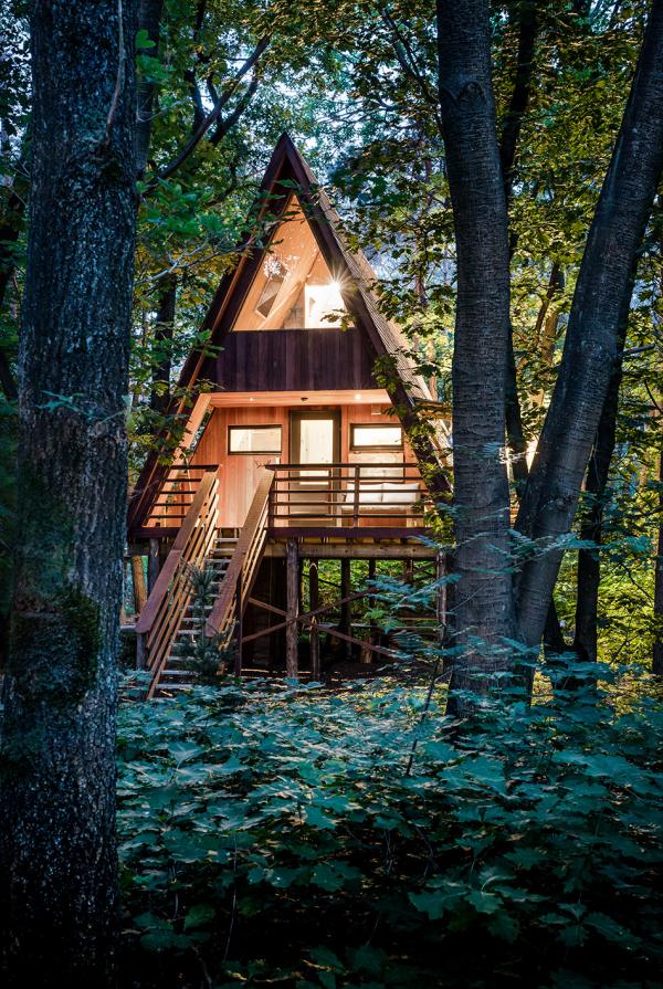 Treelodge Treelodge